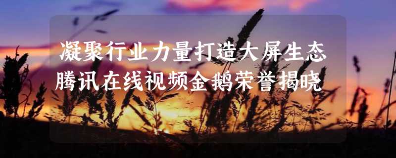 凝聚行业力量打造大屏生态腾讯在线视频金鹅荣誉揭晓