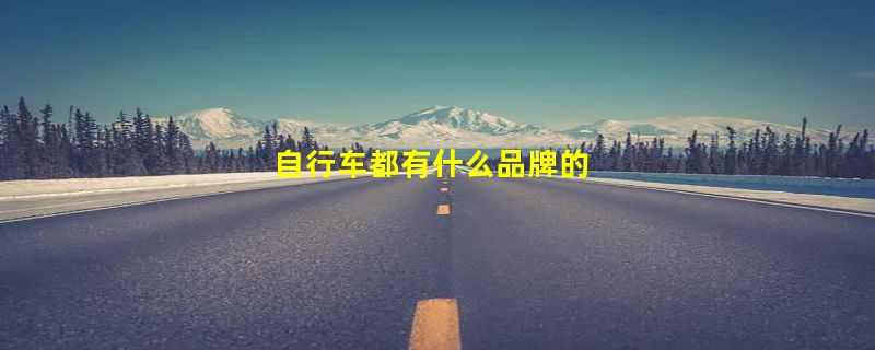 自行车都有什么品牌的