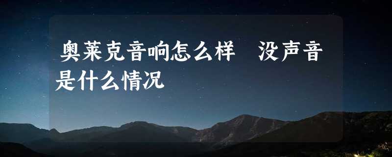 奥莱克音响怎么样 没声音是什么情况