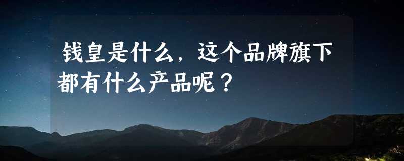 钱皇是什么，这个品牌旗下都有什么产品呢？