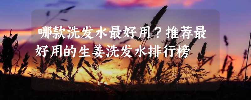 哪款洗发水最好用？推荐最好用的生姜洗发水排行榜