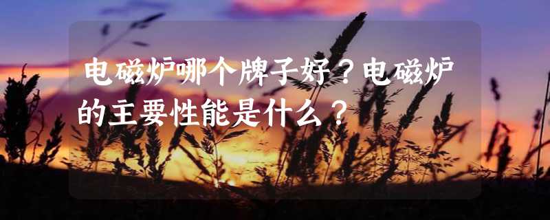 电磁炉哪个牌子好？电磁炉的主要性能是什么？