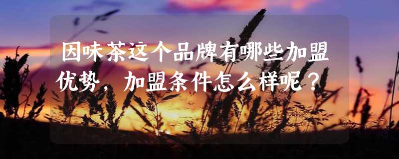 因味茶这个品牌有哪些加盟优势，加盟条件怎么样呢？