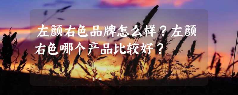 左颜右色品牌怎么样？左颜右色哪个产品比较好？