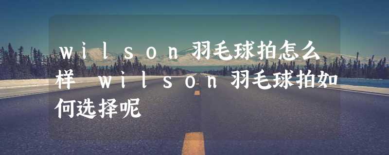 wilson羽毛球拍怎么样 wilson羽毛球拍如何选择呢