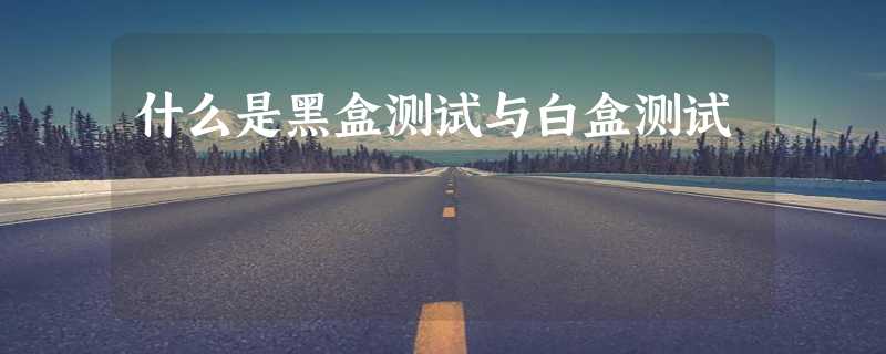 什么是黑盒测试与白盒测试