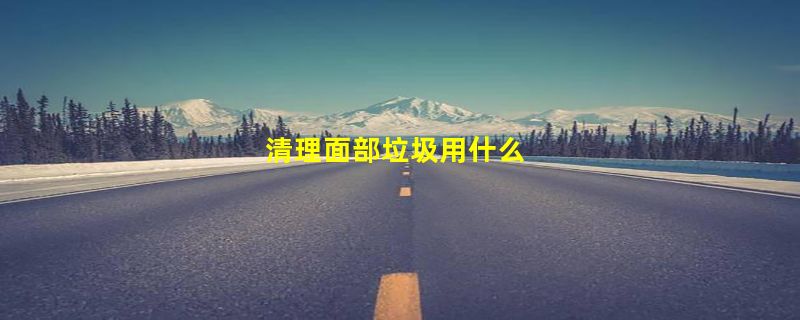 清理面部垃圾用什么