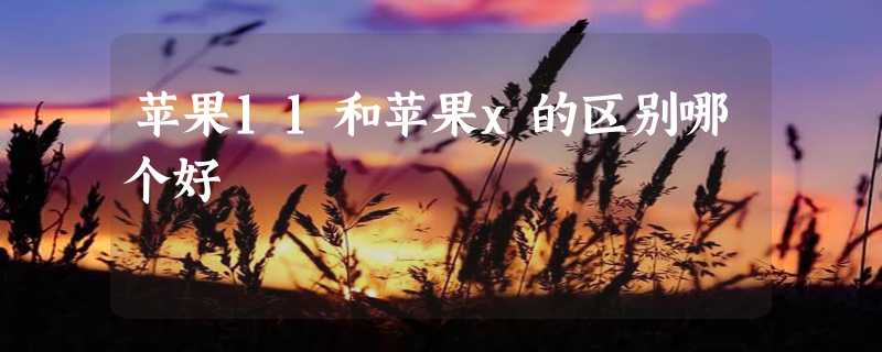 苹果11和苹果x的区别哪个好