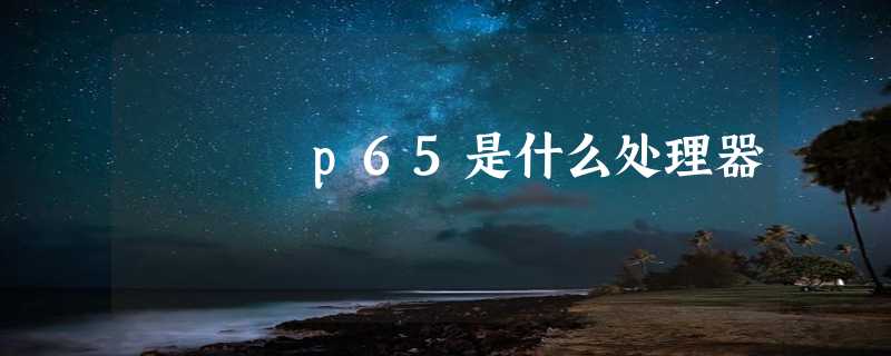 p65是什么处理器