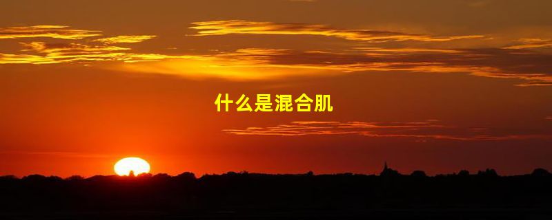 什么是混合肌