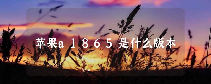 苹果a1865是什么版本