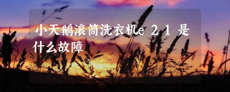 小天鹅滚筒洗衣机e21是什么故障