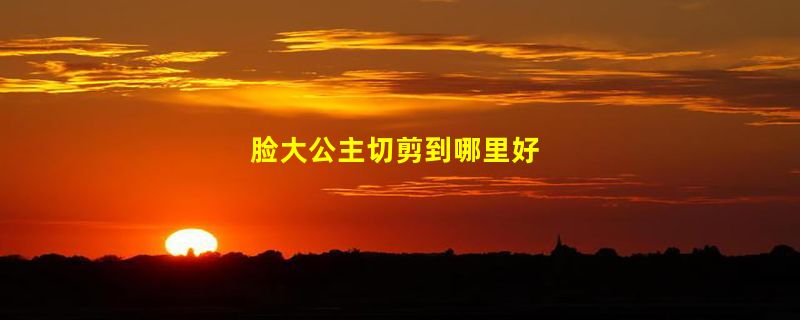 脸大公主切剪到哪里好