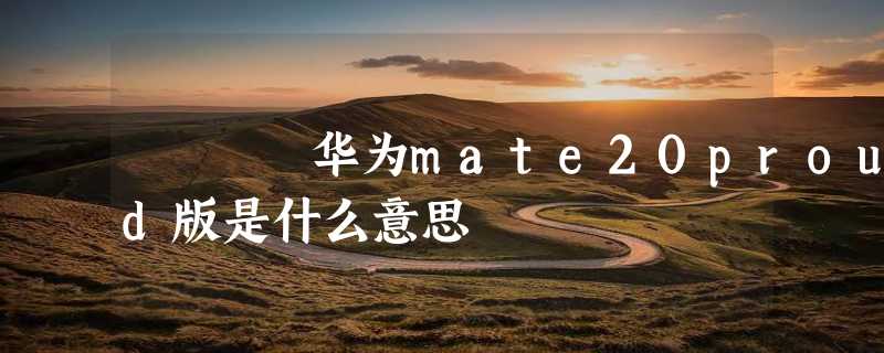 华为mate20proud版是什么意思