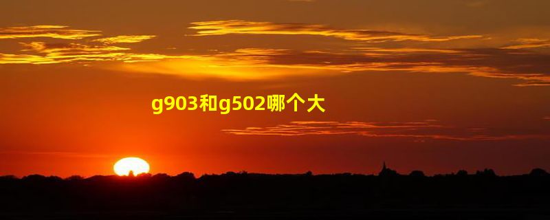 g903和g502哪个大