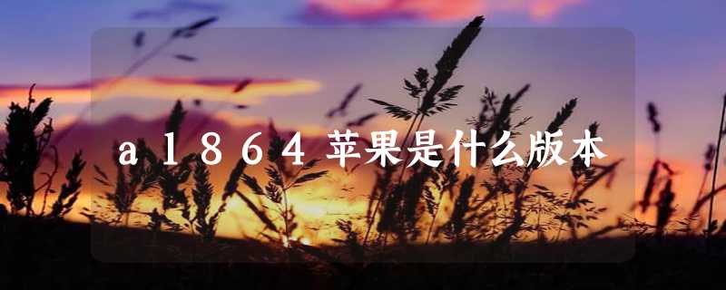 a1864苹果是什么版本