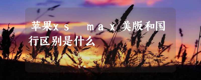 苹果xs max美版和国行区别是什么