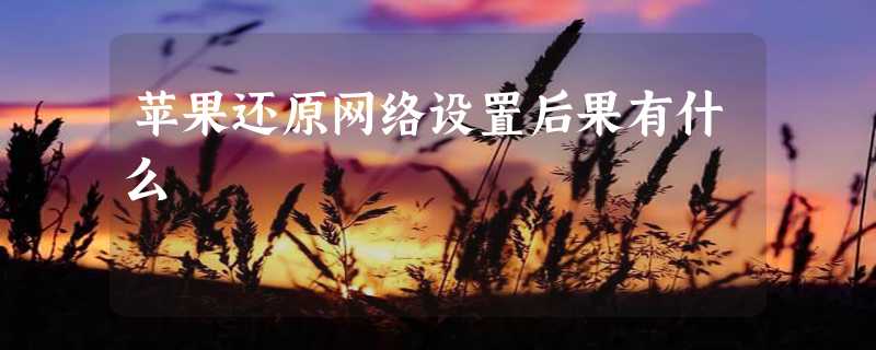 苹果还原网络设置后果有什么