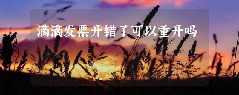 滴滴发票开错了可以重开吗