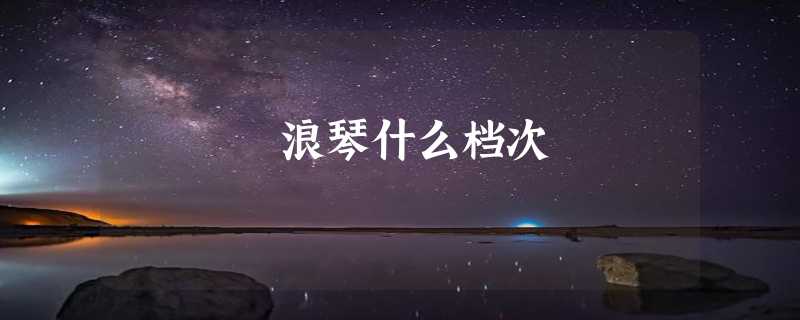 浪琴什么档次