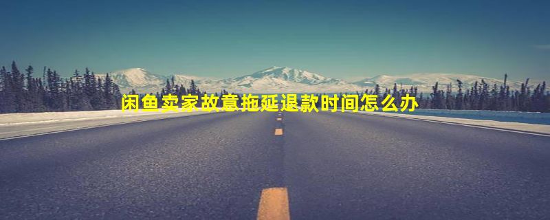 闲鱼卖家故意拖延退款时间怎么办