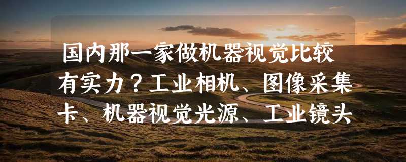 国内那一家做机器视觉比较有实力？工业相机、图像采集卡、机器视觉光源、工业镜头及软件都要有。