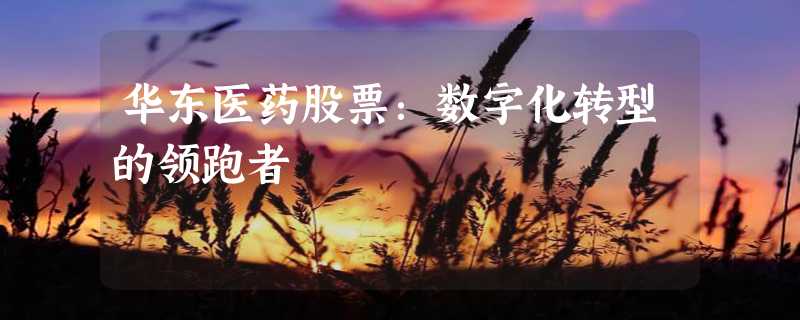 华东医药股票：数字化转型的领跑者