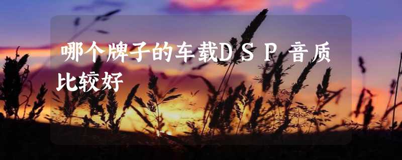 哪个牌子的车载DSP音质比较好