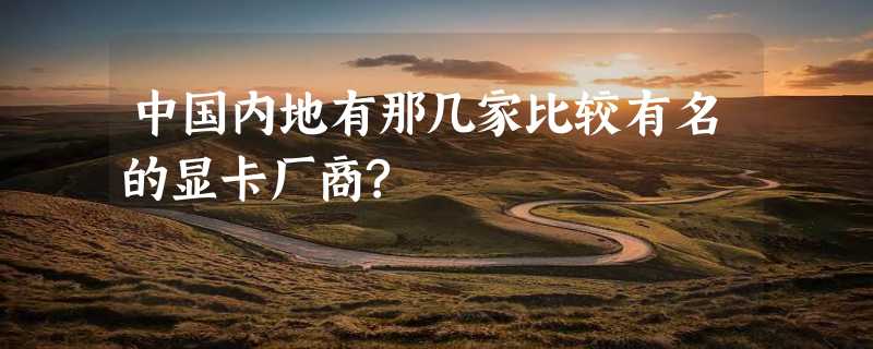 中国内地有那几家比较有名的显卡厂商?