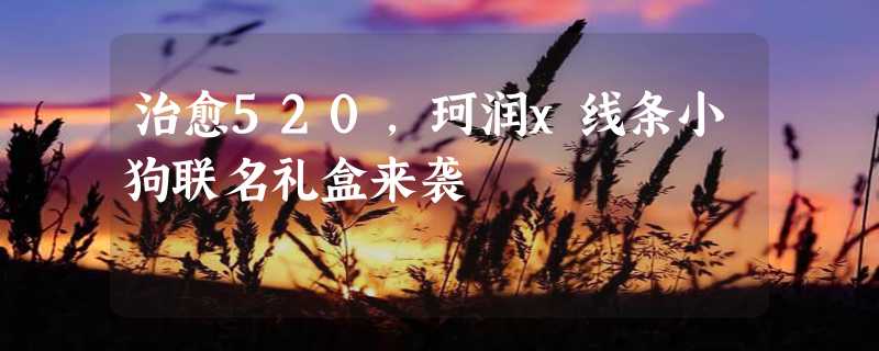 治愈520，珂润x线条小狗联名礼盒来袭