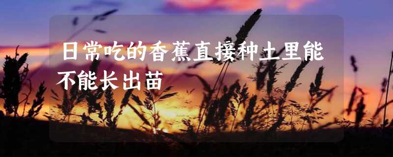 日常吃的香蕉直接种土里能不能长出苗