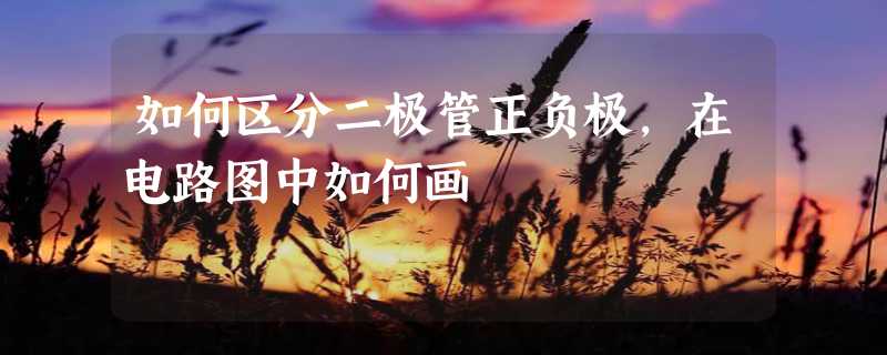 如何区分二极管正负极，在电路图中如何画