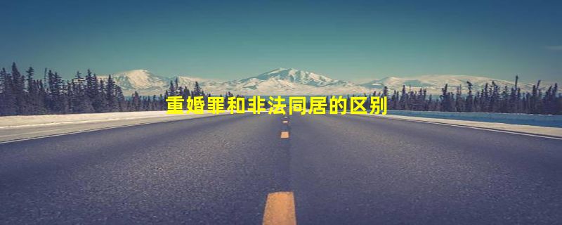 重婚罪和非法同居的区别