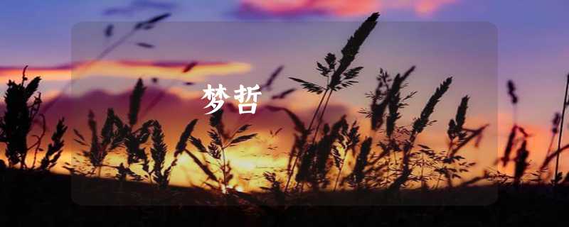 梦哲