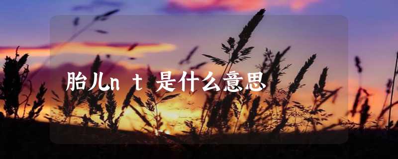 胎儿nt是什么意思