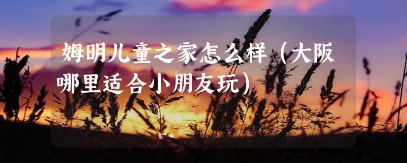 姆明儿童之家怎么样（大阪哪里适合小朋友玩）