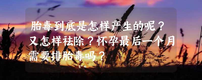 胎毒到底是怎样产生的呢？又怎样祛除？怀孕最后一个月需要排胎毒吗？