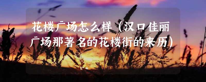 花楼广场怎么样（汉口佳丽广场那著名的花楼街的来历）