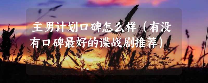 主男计划口碑怎么样（有没有口碑最好的谍战剧推荐）