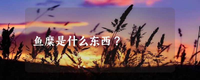 鱼糜是什么东西？