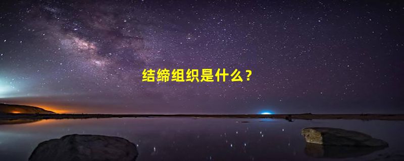 结缔组织是什么？