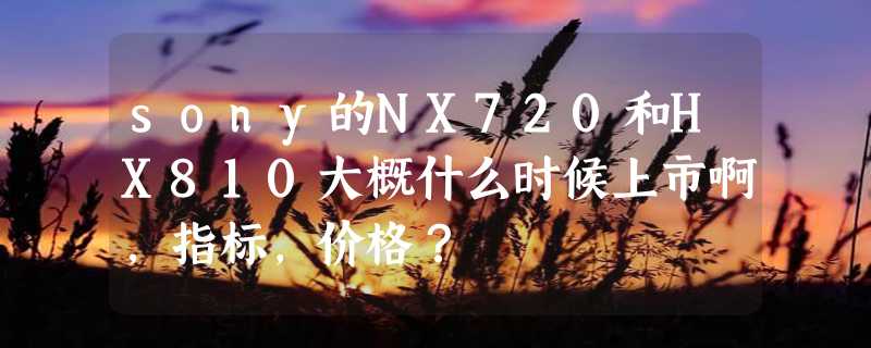 sony的NX720和HX810大概什么时候上市啊，指标，价格？