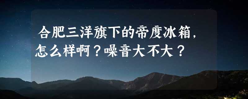 合肥三洋旗下的帝度冰箱，怎么样啊？噪音大不大？