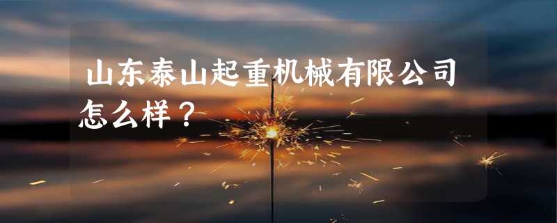 山东泰山起重机械有限公司怎么样？