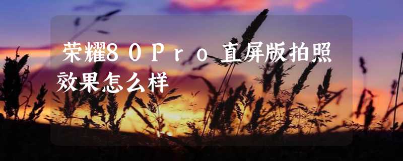 荣耀80Pro直屏版拍照效果怎么样