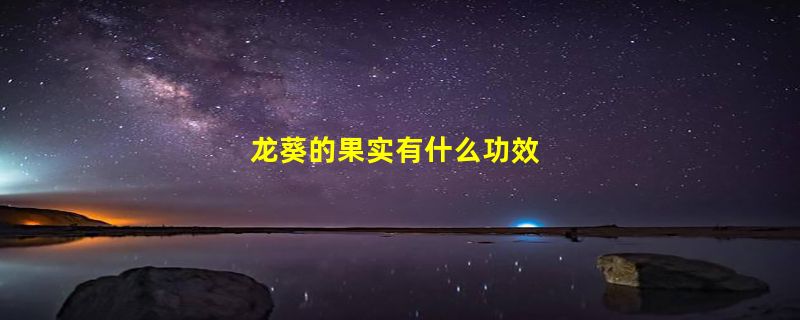 龙葵的果实有什么功效