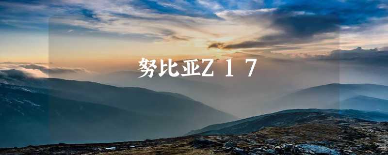 努比亚Z17