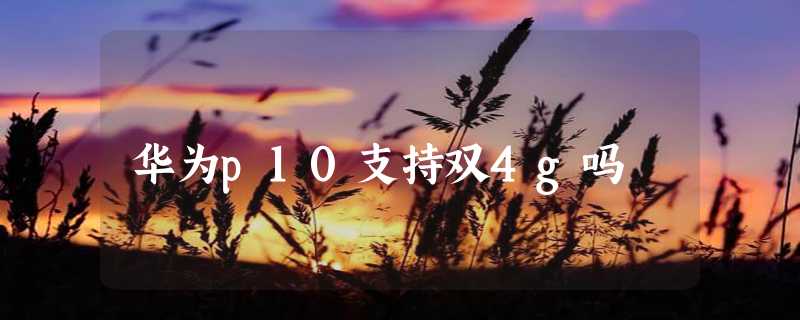 华为p10支持双4g吗