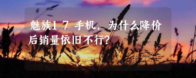 魅族17手机，为什么降价后销量依旧不行?