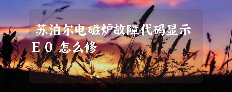 苏泊尔电磁炉故障代码显示E0怎么修